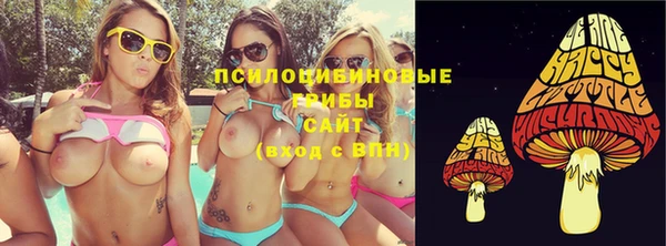 apvp Нижний Тагил