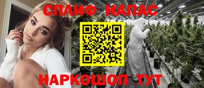 стаф Бузулук