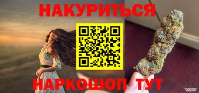 крисы Гай