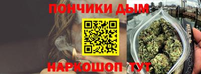 крисы Гай