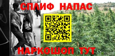 стаф Бузулук