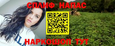 трава Гатчина