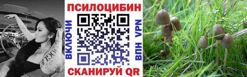 хочу   Сертолово  Псилоцибиновые грибы Magic Shrooms 