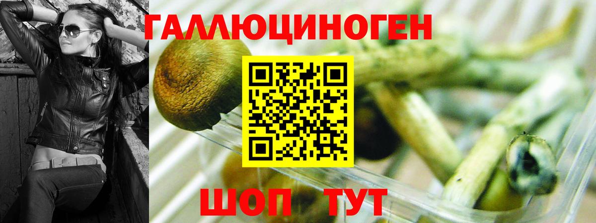 Галлюциногенные грибы прущие грибы  сколько стоит  Сертолово  Псилоцибиновые грибы мухоморы  Вход с VPN 