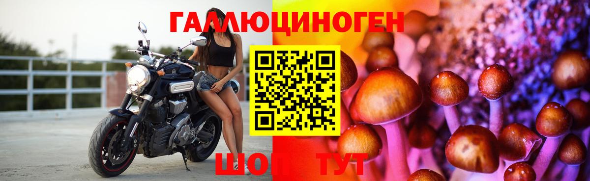 Галлюциногенные грибы Magic Shrooms Сертолово