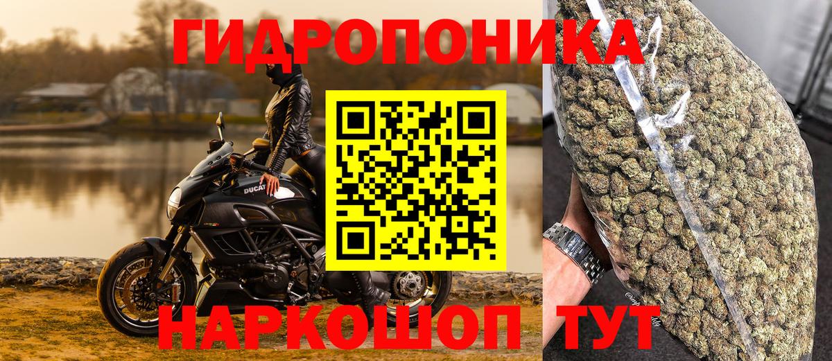 Шишки марихуана марихуана Сертолово